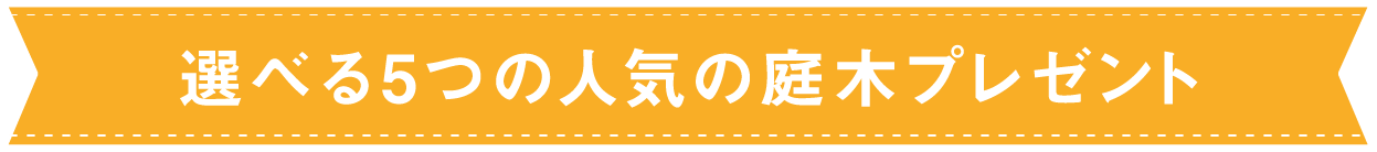 選べる5つの人気の庭木プレゼント,1本無料で進呈