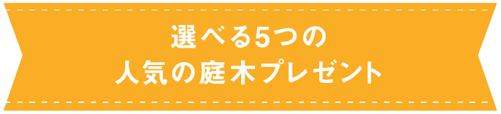 選べる5つの人気の庭木プレゼント,1本無料で進呈