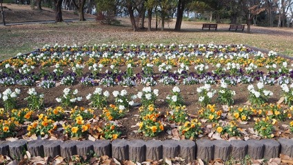 花壇・家庭菜園