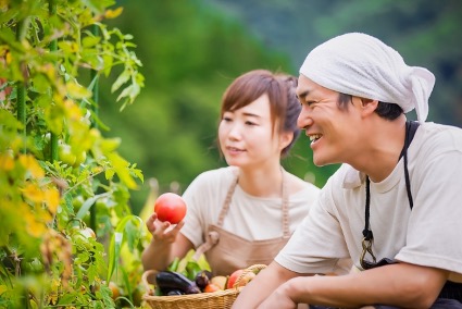 花壇・家庭菜園