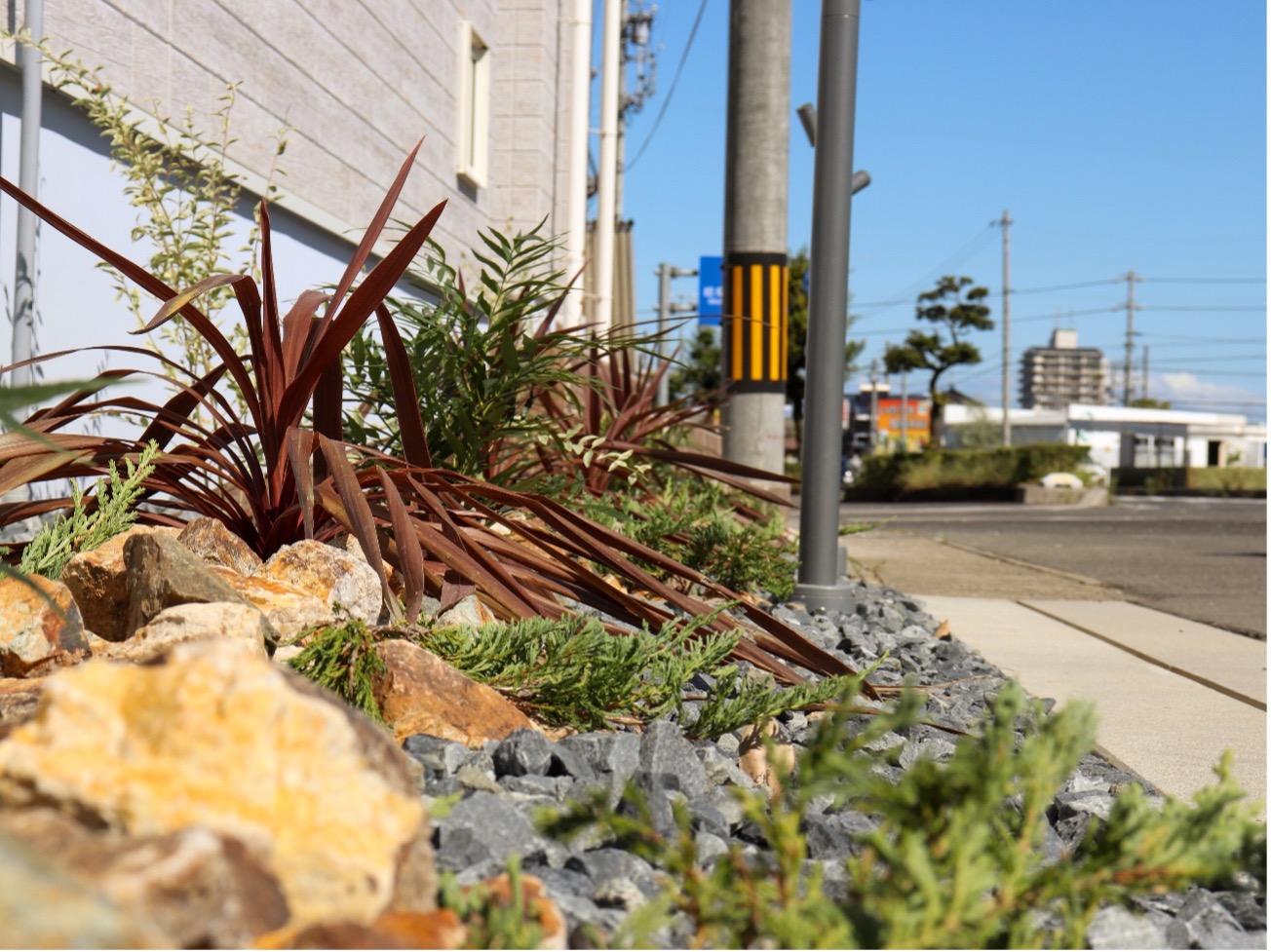 花壇・家庭菜園